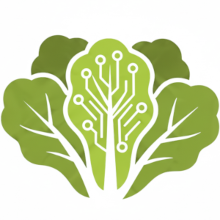 Tomate Cherry Orgánico